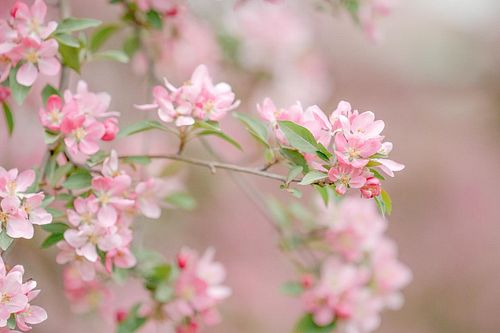 Is it spring yet? It has been unseasonably warm here and the weather has been a little more spring-like than usual. I can’t w...