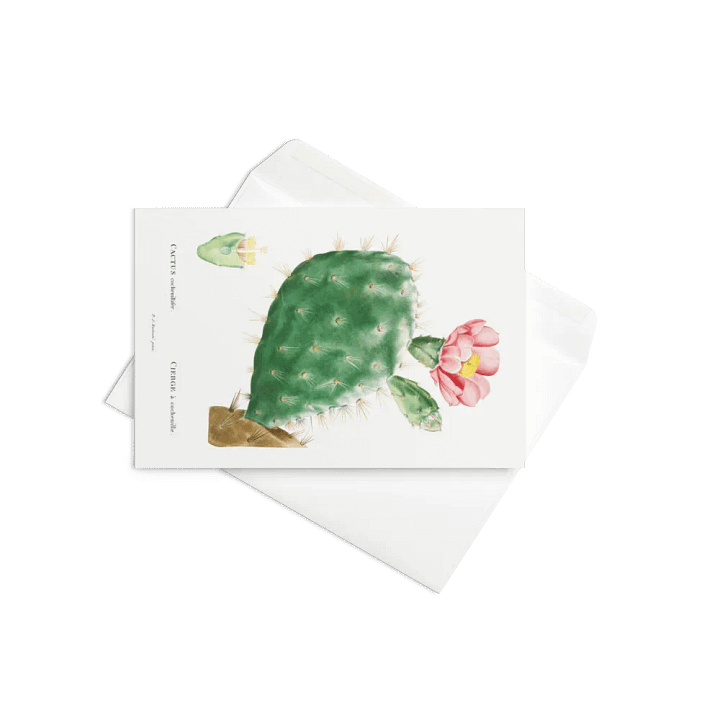 Blooming Desert Greetings product image (2)
