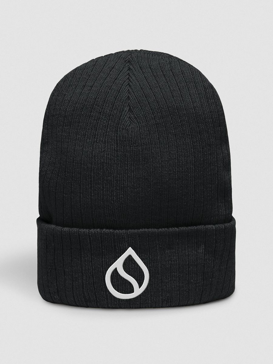 Knit Beanie/Sui product image (3)