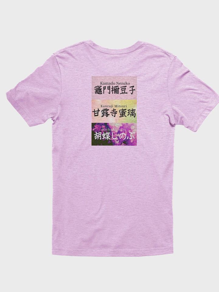 DS product image (2)