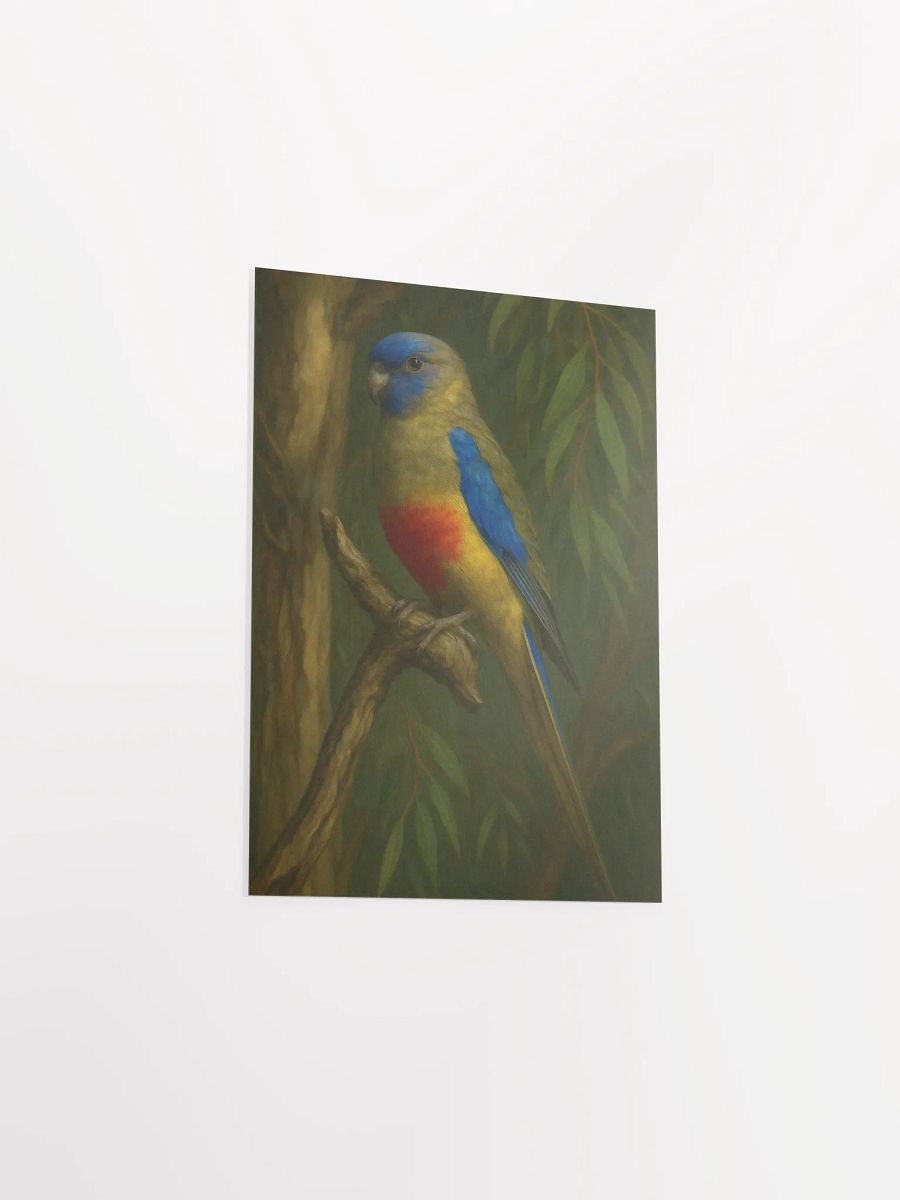 Blue Bonnet Parrot. product image (7)
