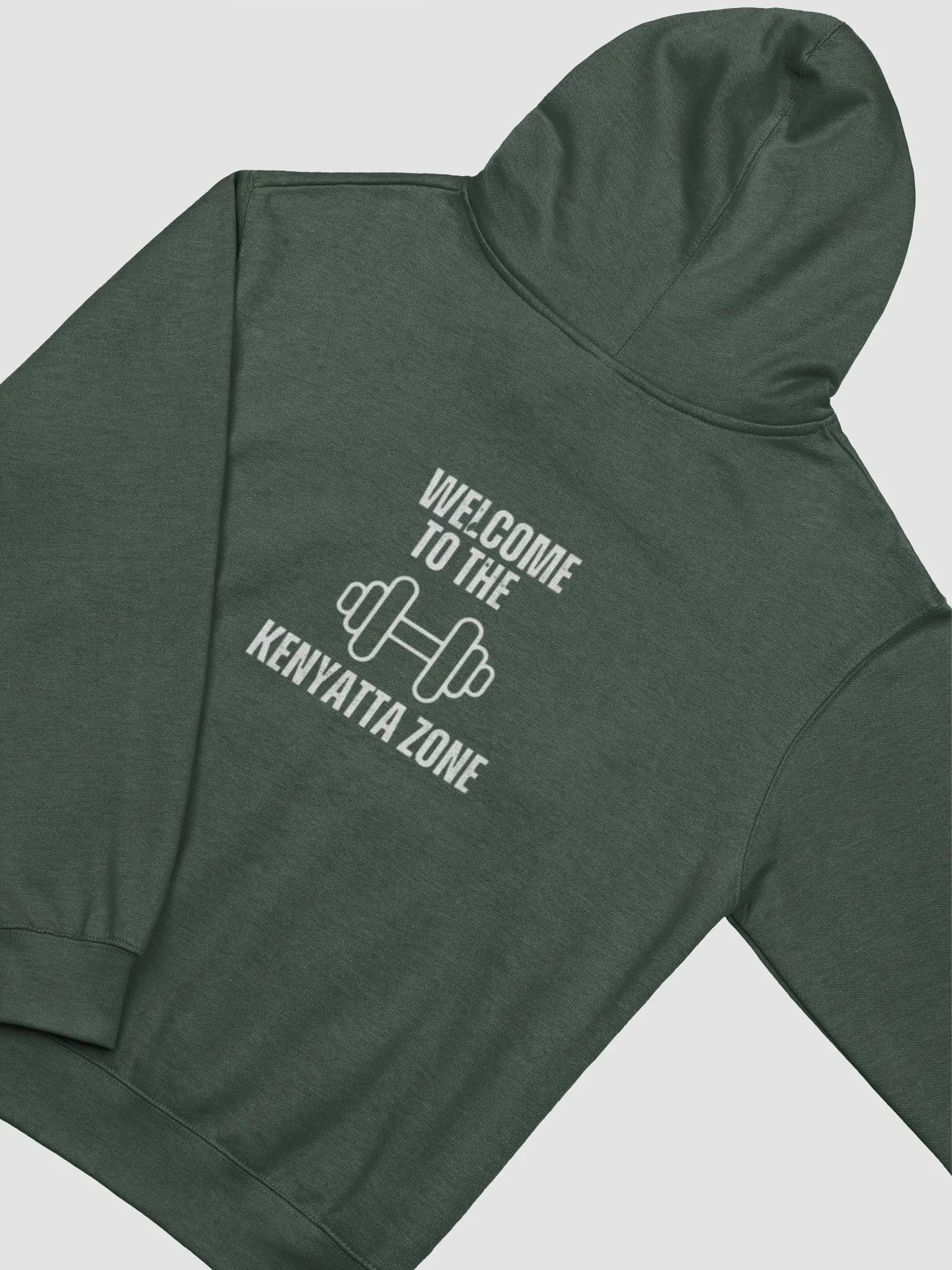 coach kenyatta hoodie product image (12)