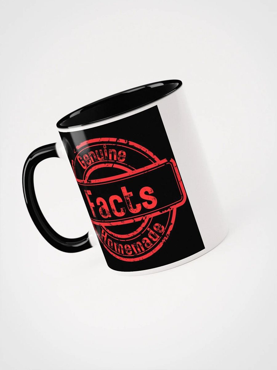 ETHANBOMB - FACTS MUG product image (40)