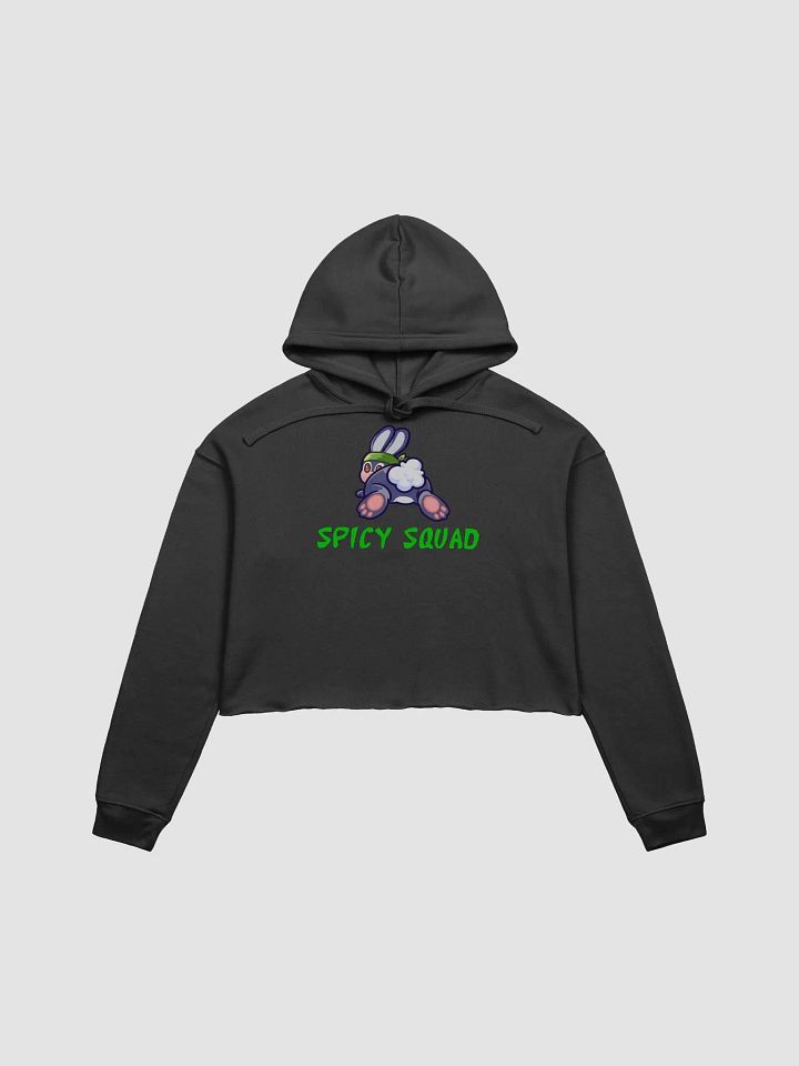 Spicy Squad Crop Hoodie product image (1)