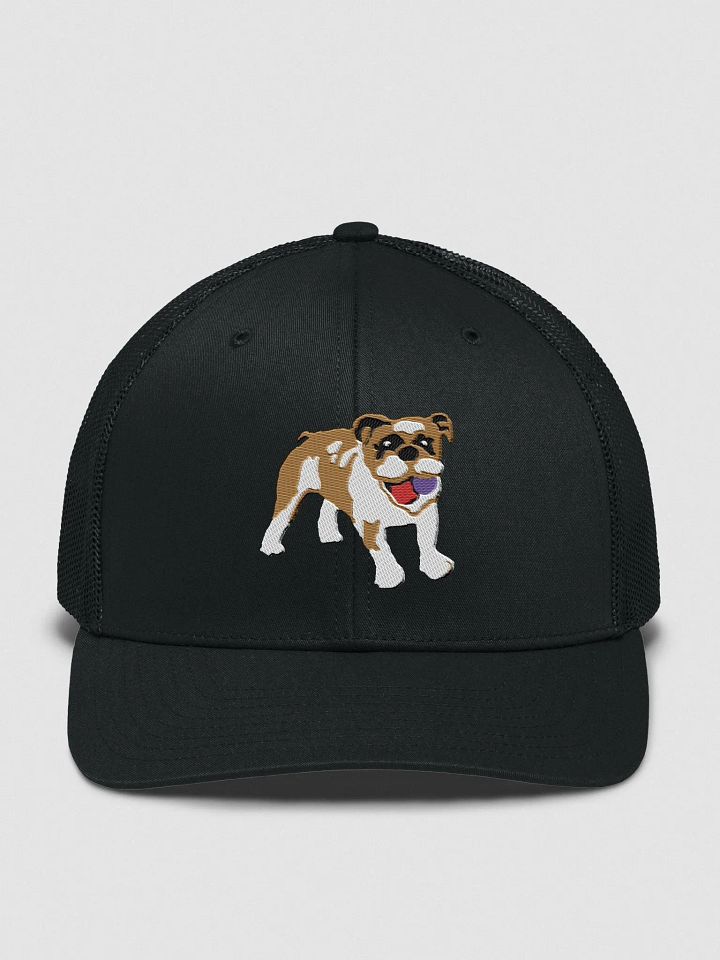 Bulldog Bull Dog With Ball Embroidered Playtime Snapback product image (1)