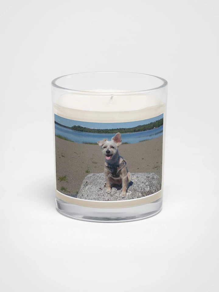 Mozzie At The Lake Candle product image (1)