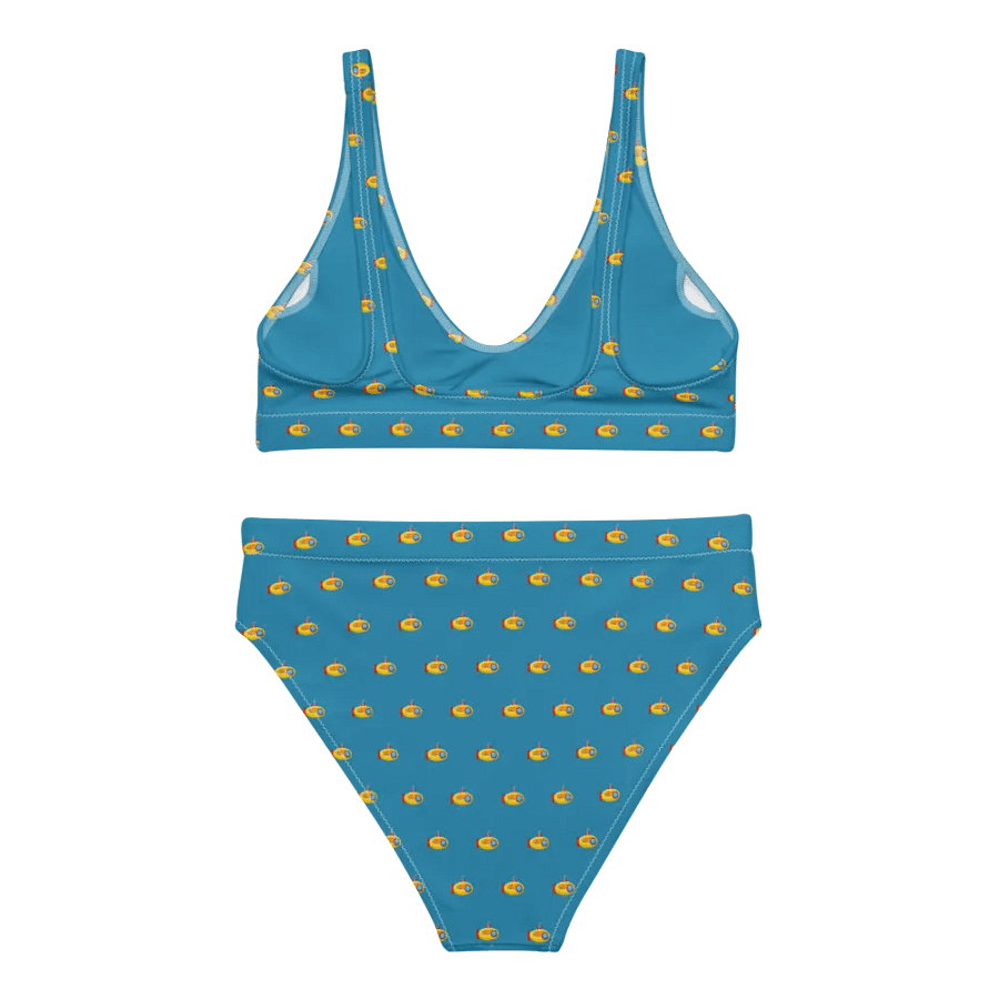 MSLA Sub Series - High Waisted Bikini product image (9)