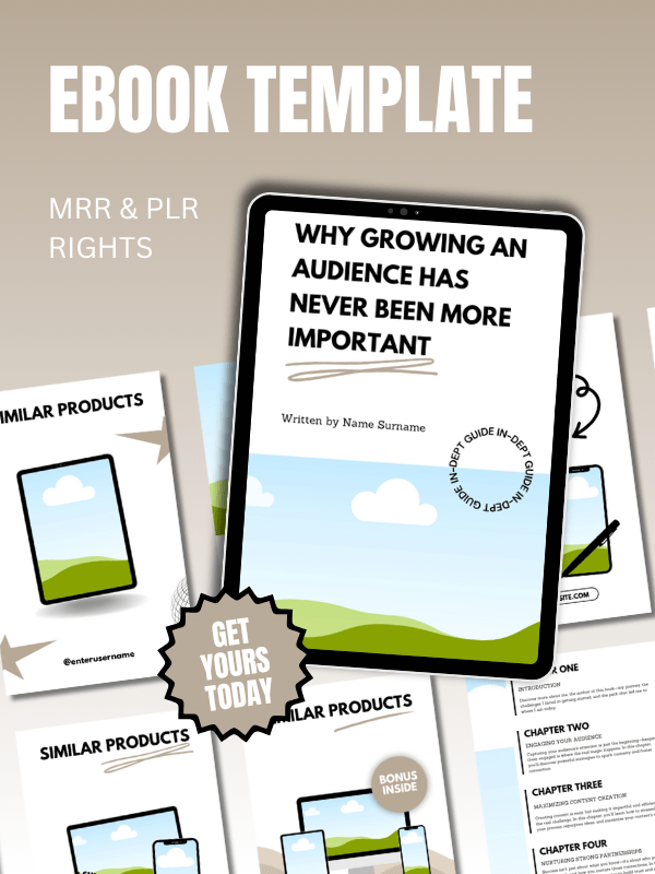 MRR/PLR Editable eBook Template in Canva product image (1)