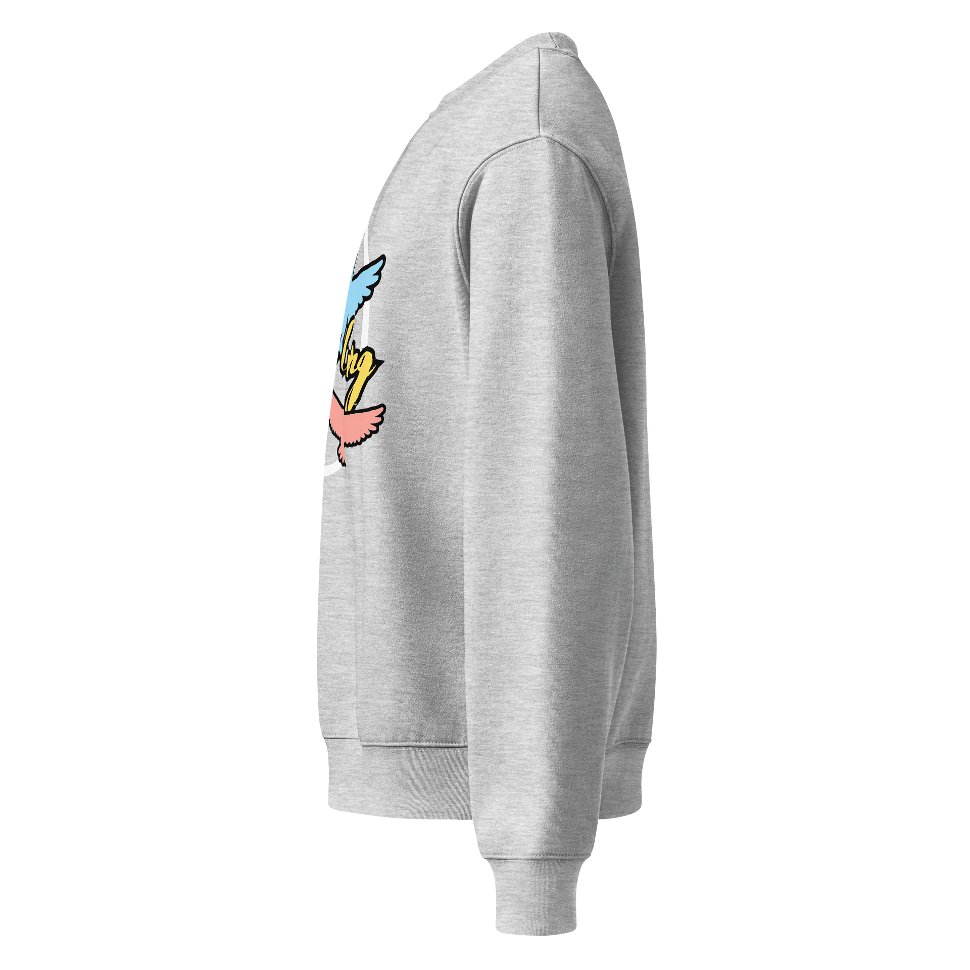 Birdie Gang World Oversized Sweatshirt product image (3)