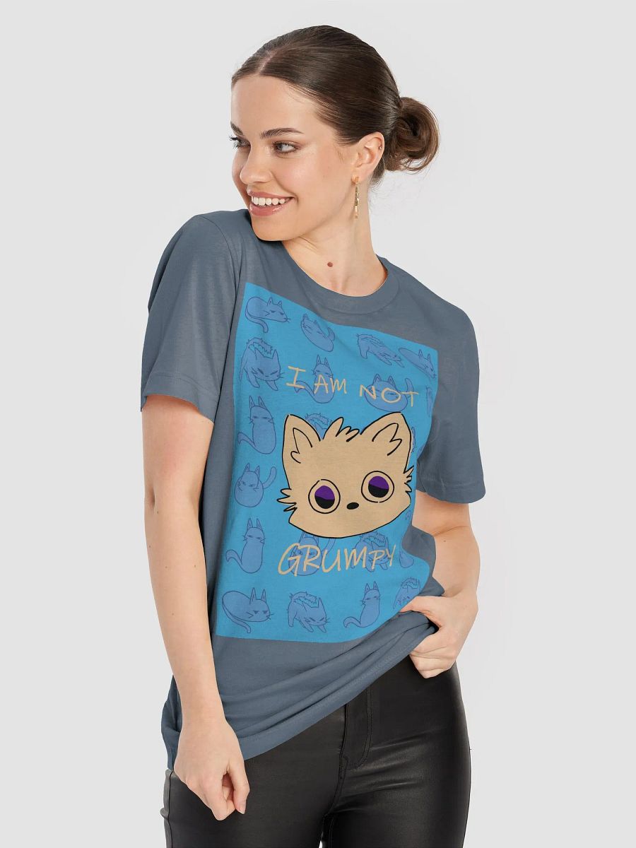 The (NOT) GRUMPY Bella Canvas T-Shirt product image (8)