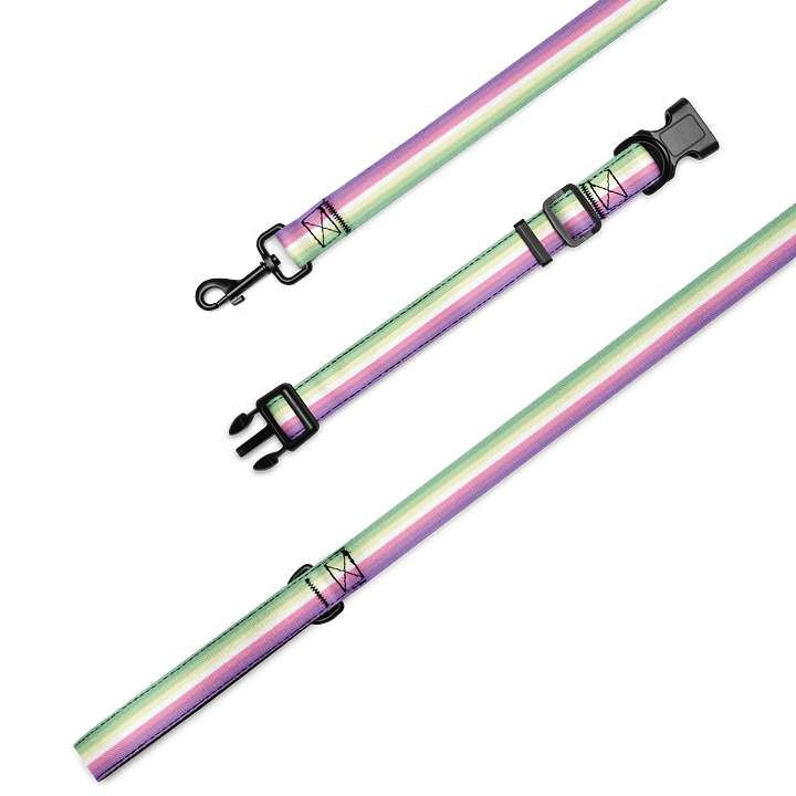 Genderfae Pride Flag Pet Collar & Leash product image (1)