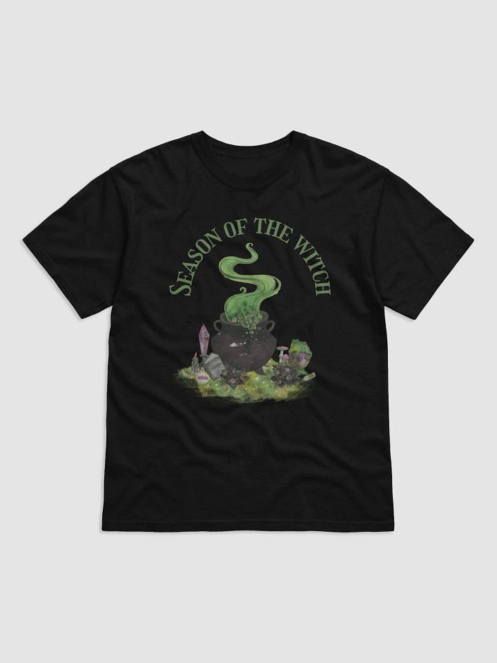 Season of the Witch Adult T-Shirt product image (1)