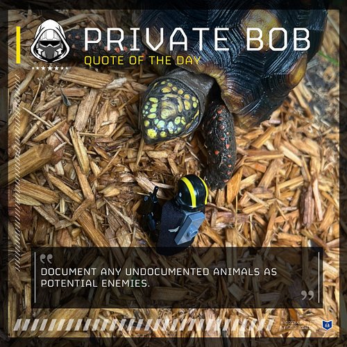 Daily Wisdom with PVT Bob. [ 07/08/2185 ]

#helldivers2 #helldivers #fanmade #gaming #ps5 #xbox #lego #nature #photography