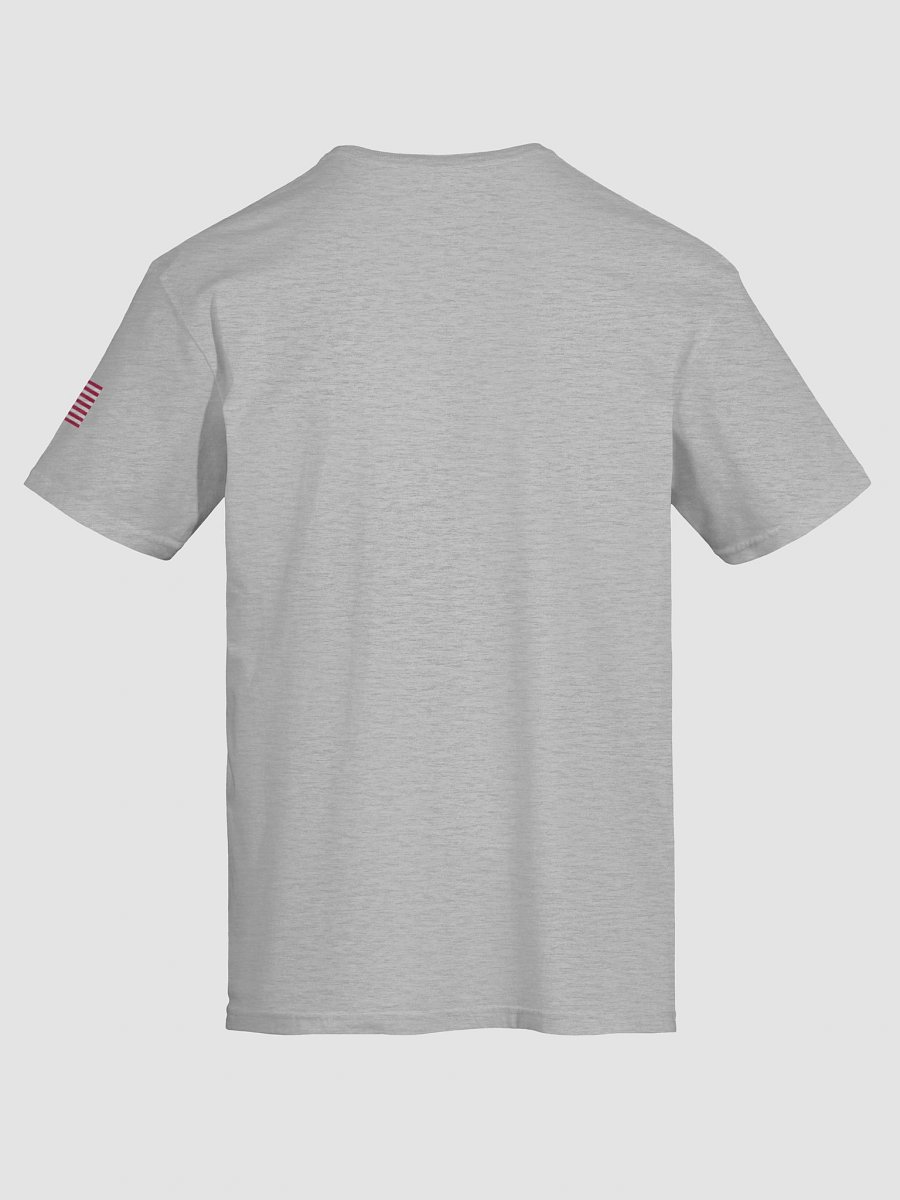 Authentic Apparel T-shirt product image (127)