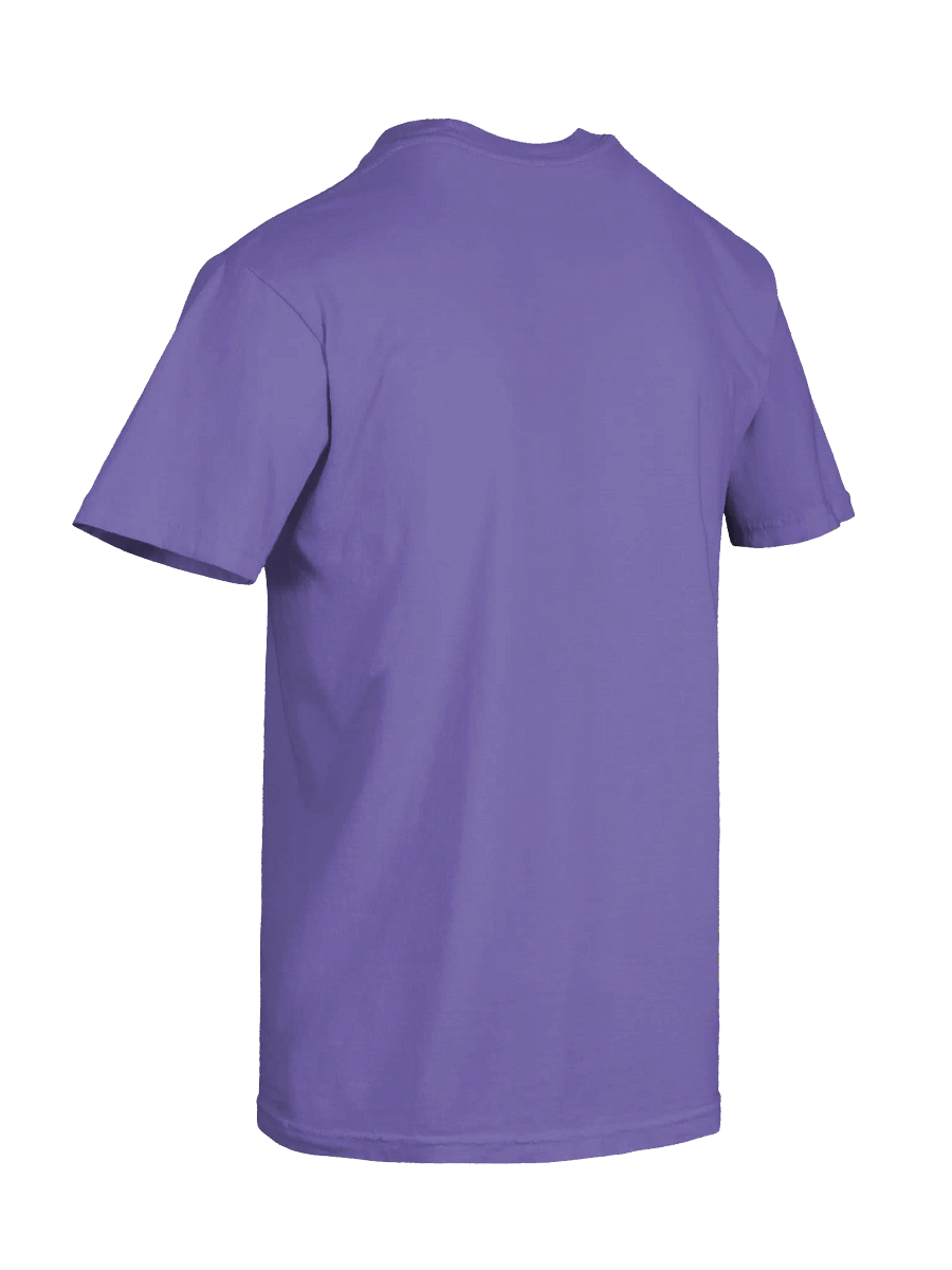 Comfort Colors Pride T-shirt product image (10)