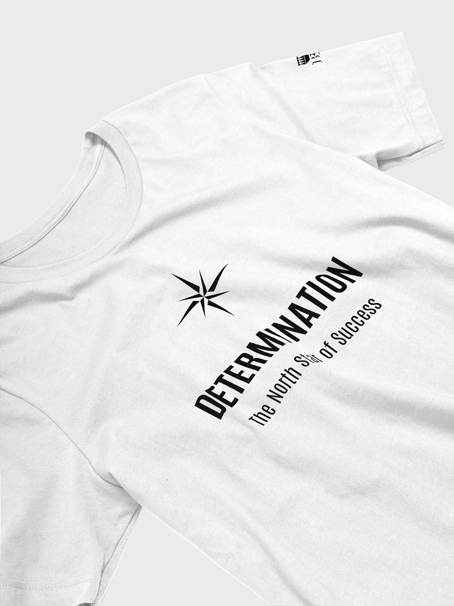Determination: The North Star of Success product image (48)