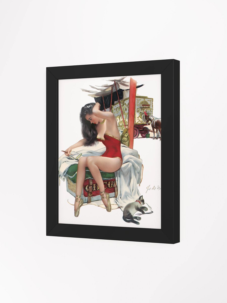 Circus Dreams Framed Matte Poster product image (13)