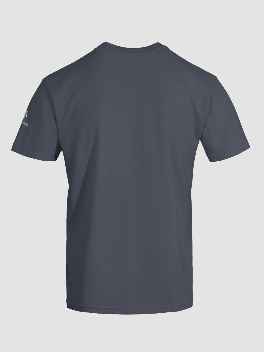 Echoes Of Valhalla Men's Viking Warrior T-shirt product image (6)