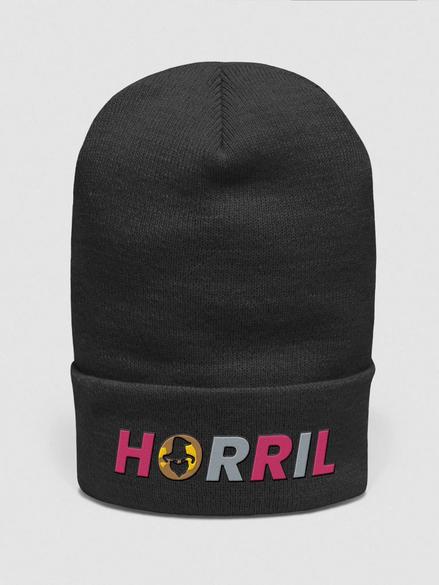 The Beanie product image (1)