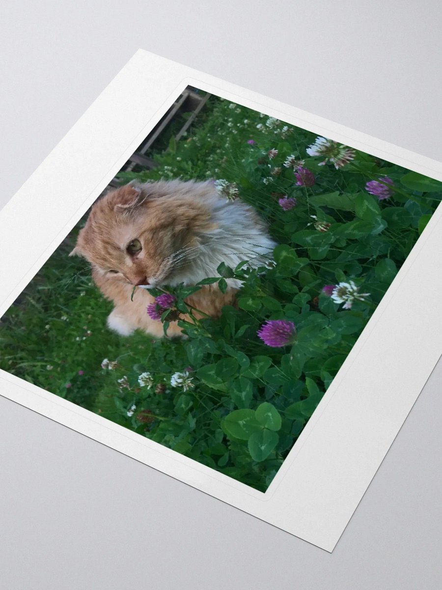 Clover Field Boy Sticker product image (3)