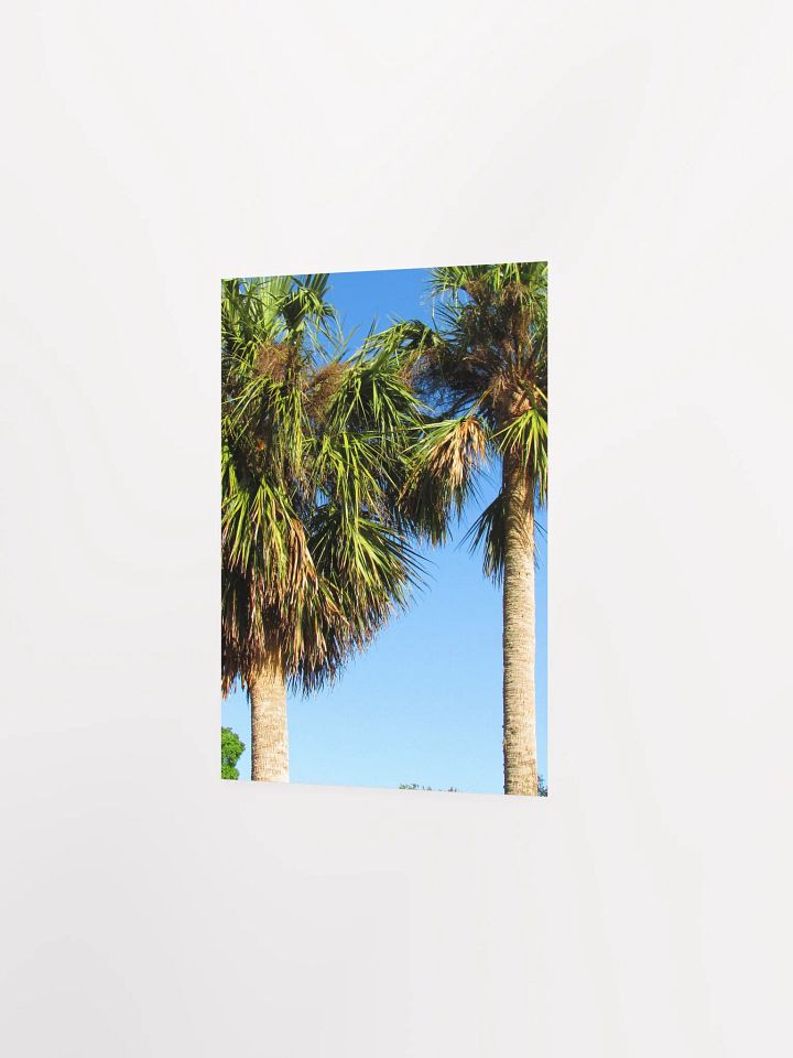 Florida Palms product image (21)
