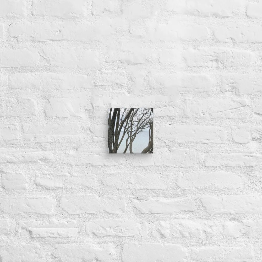 Winding Branches Canvas product image (2)