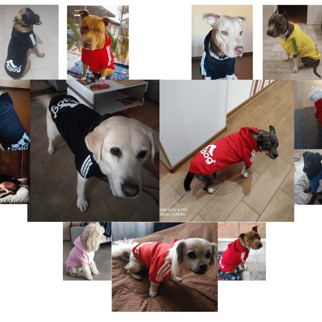 Adidog Pet Coat product image (10)