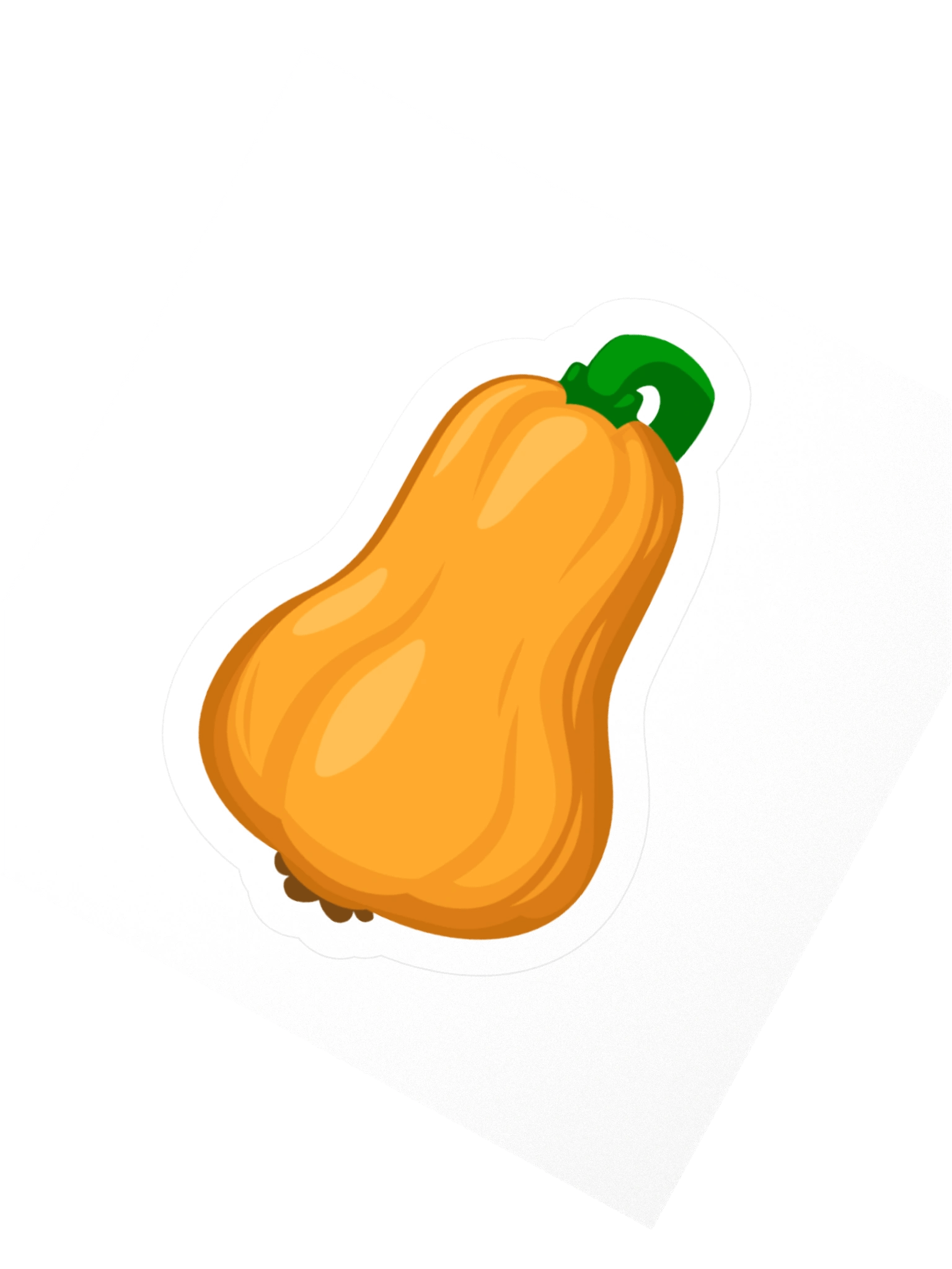 Butternut Squash product image (2)