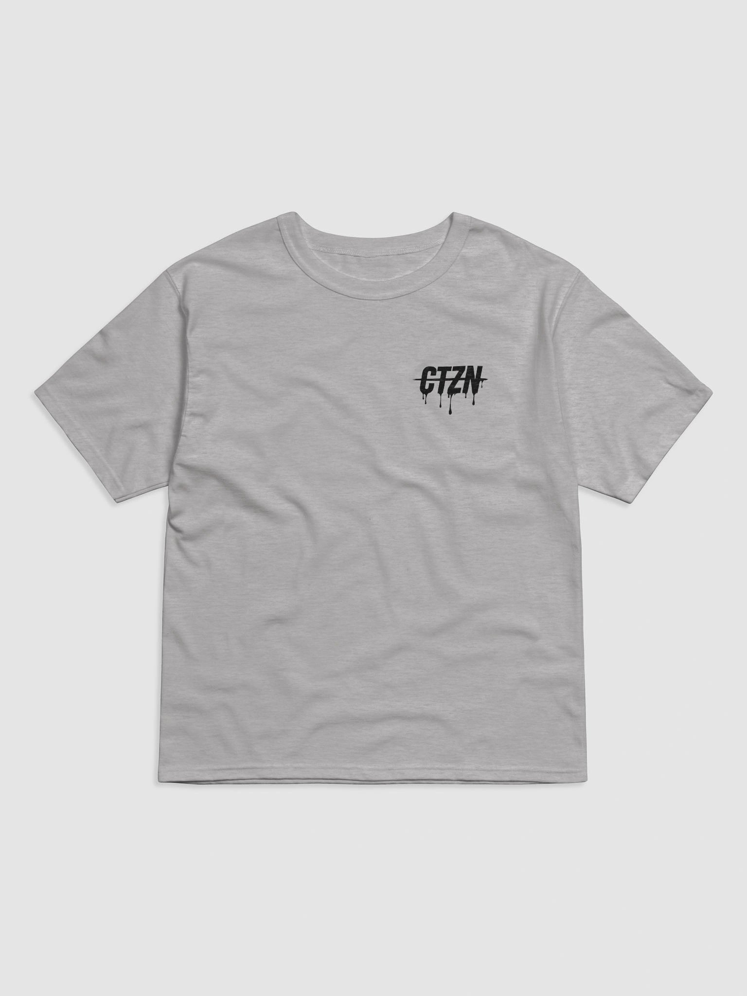 2025 CTZN Champion Tee (GREY/WHITE) product image (1)
