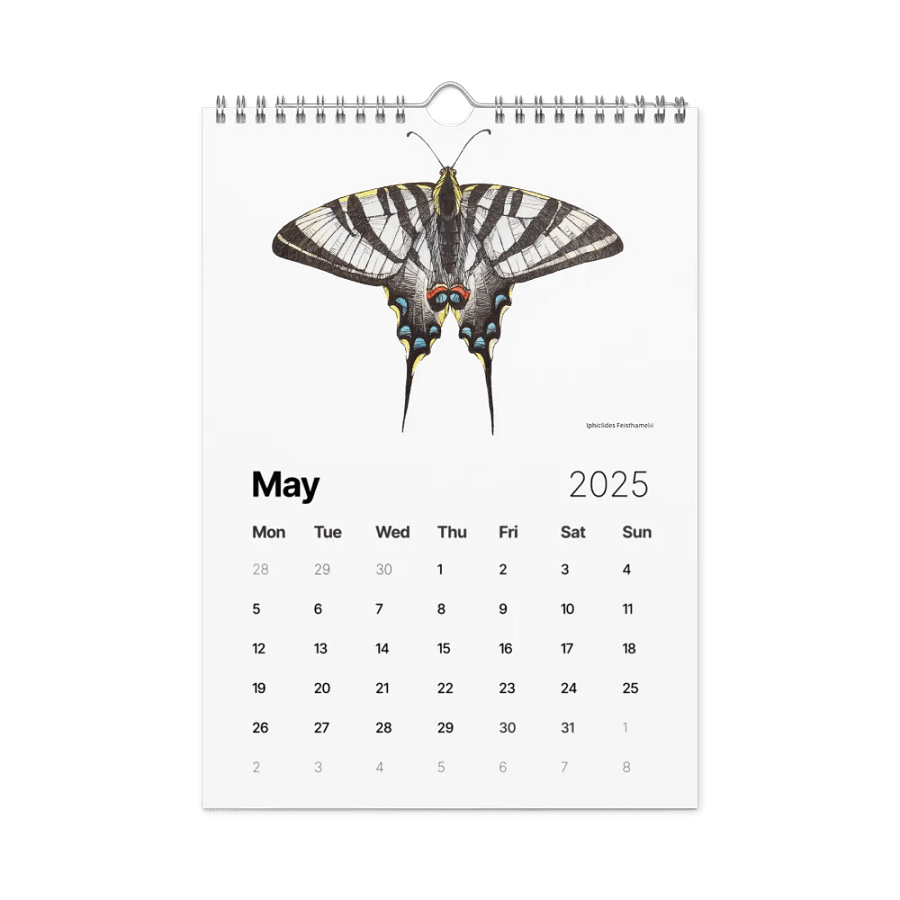 INSECTUM ABSTRACTUS - 2025 Calendar product image (11)