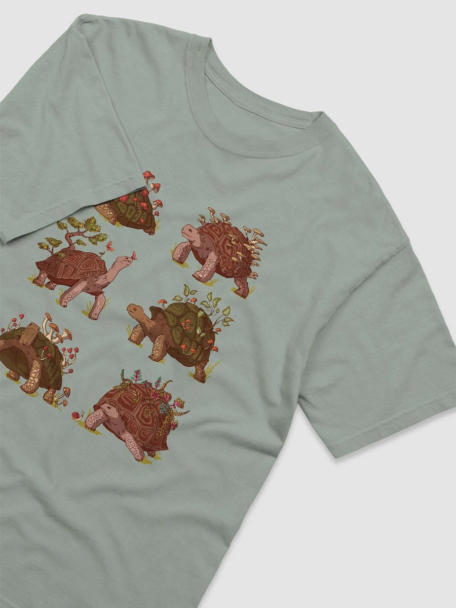 Goblincore Shirt of Land Tortoises | Cottagecore, Fairycore, and Aesthetic T-Shirts for Turtle Lovers product image (3)