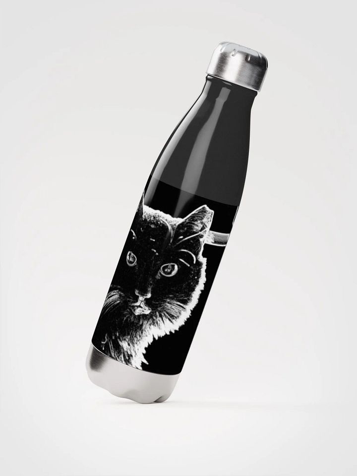 Cursed Kitty Water Bottle product image (3)