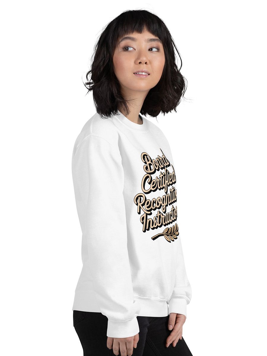 Recognition Instructor Human Design Projector Sweatshirt product image (9)