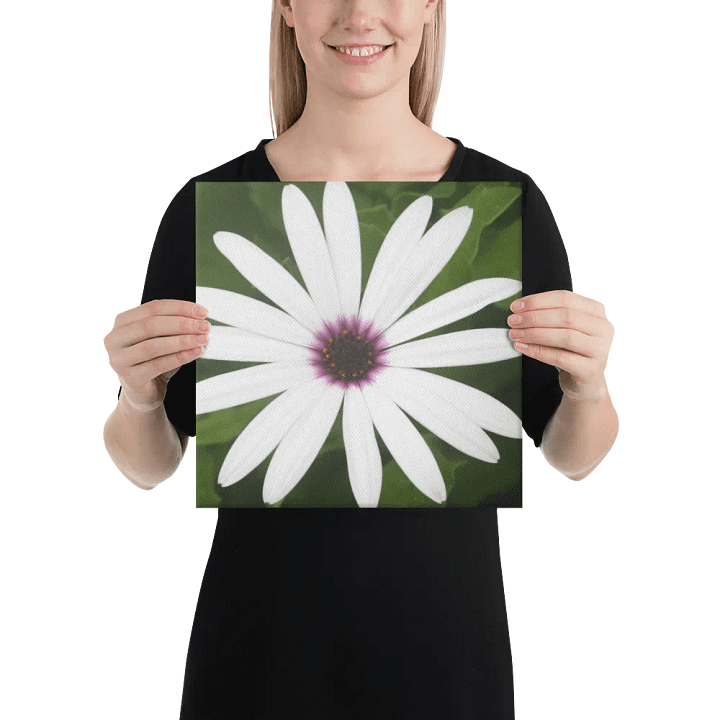 Daisy on Canvas product image (2)