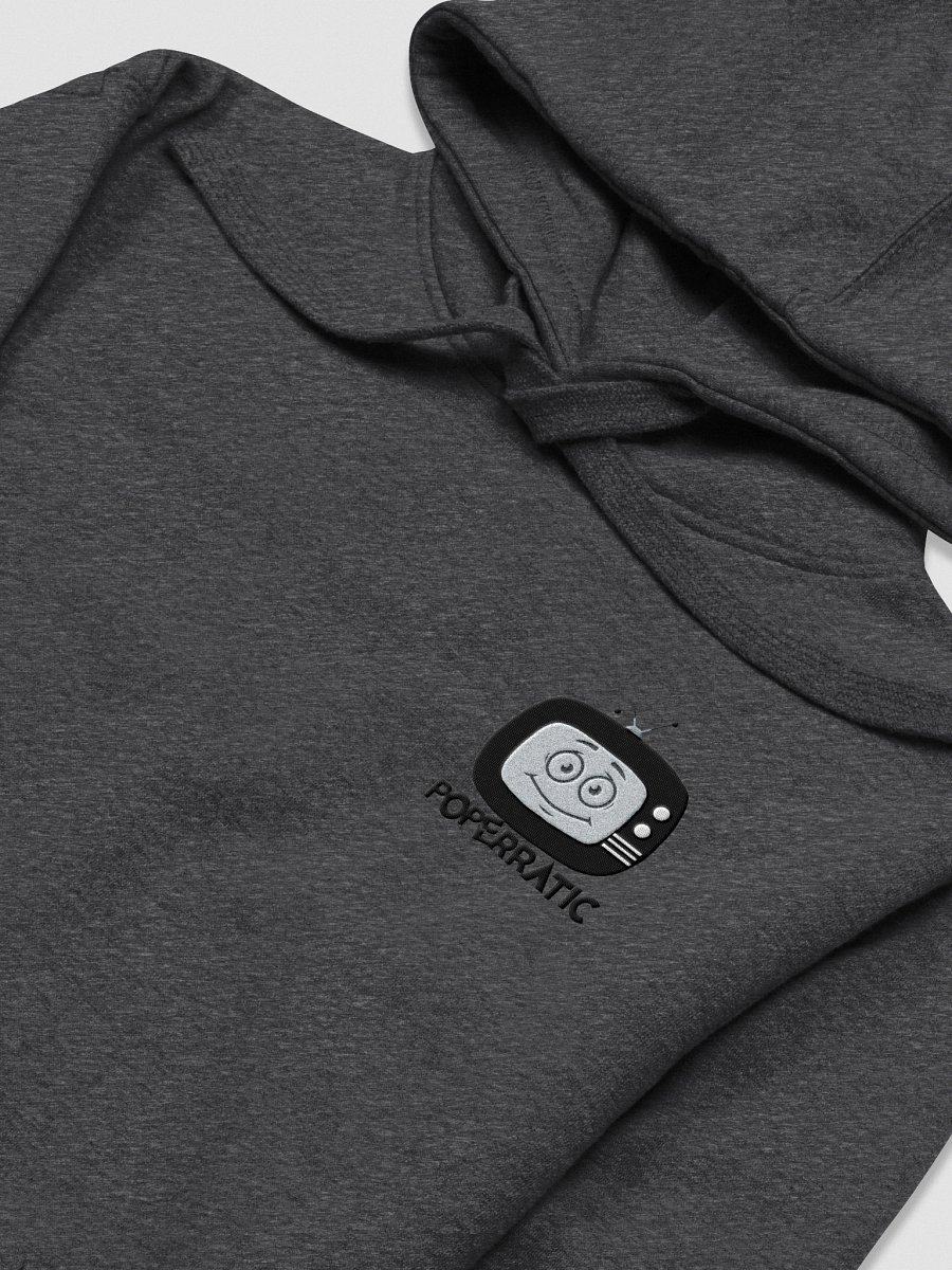 Poperratic Babysitter Embroidered Hoodie product image (18)