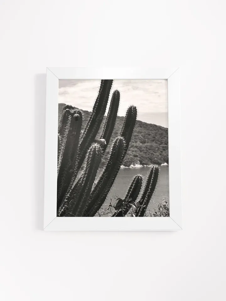 Mexico Lindo - Framed High-Quality Matte Poster product image (1)