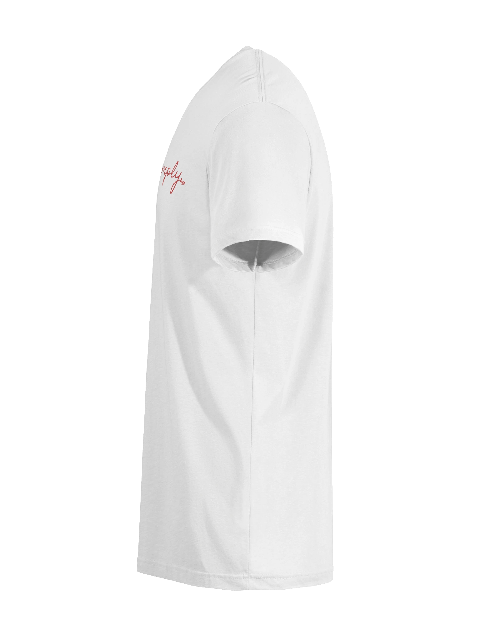 "Will Not Comply" Tee product image (46)