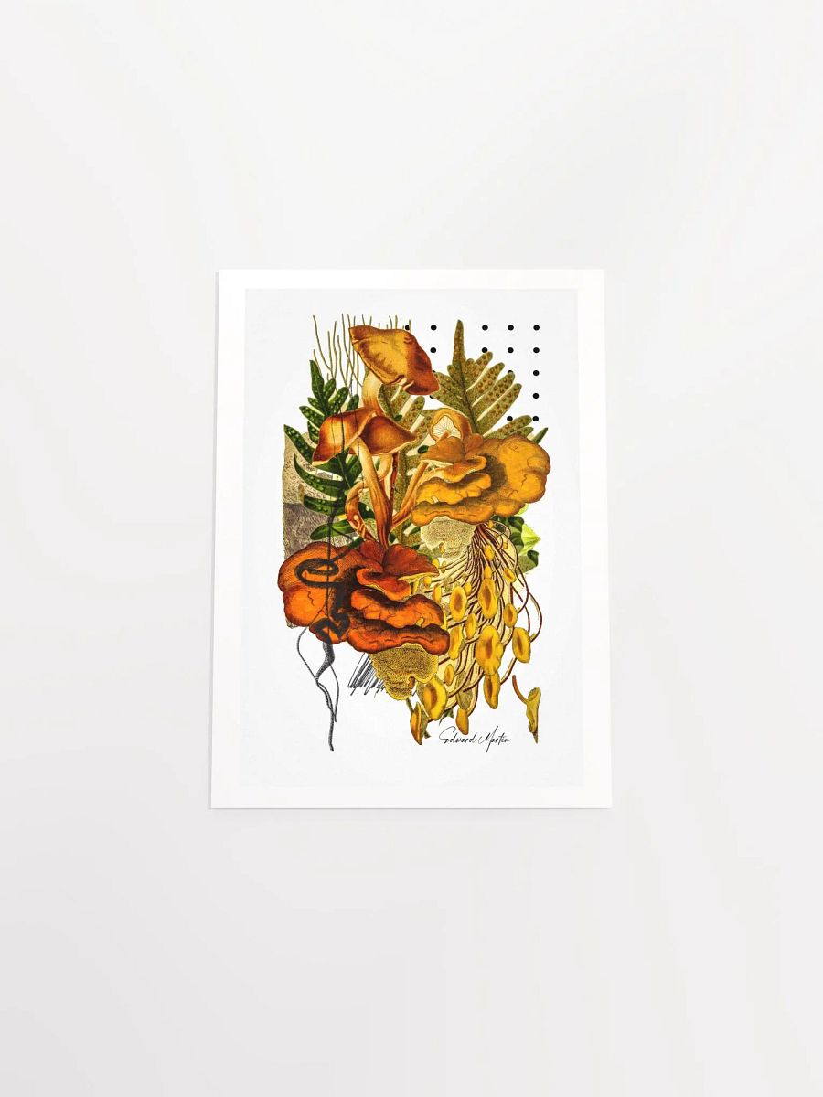 Woodland Collage Print by Edward Martin-Enchanted Foliage: Mushroom Collage Poster product image (5)