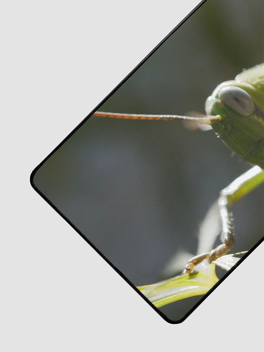Grasshopper Desk Mat product image (3)