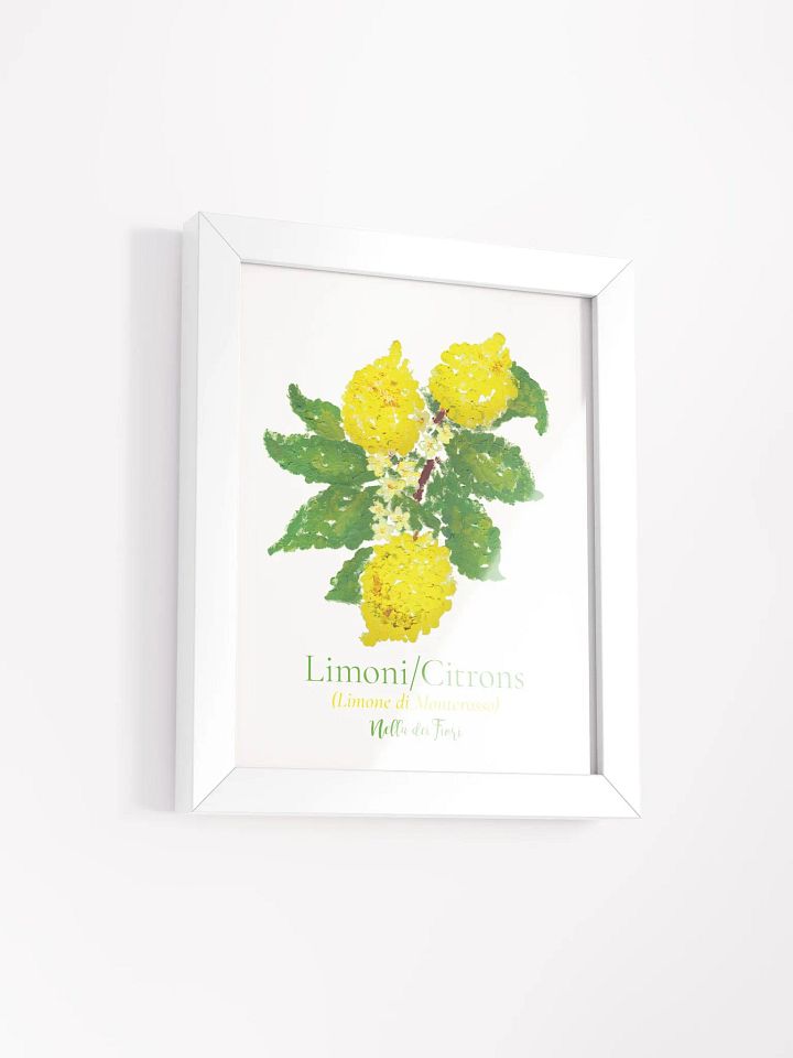 Limoni Botanicus Frame product image (5)