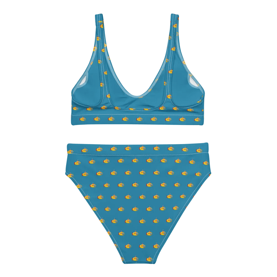 MSLA Subby Series - High Waisted Bikini product image (3)