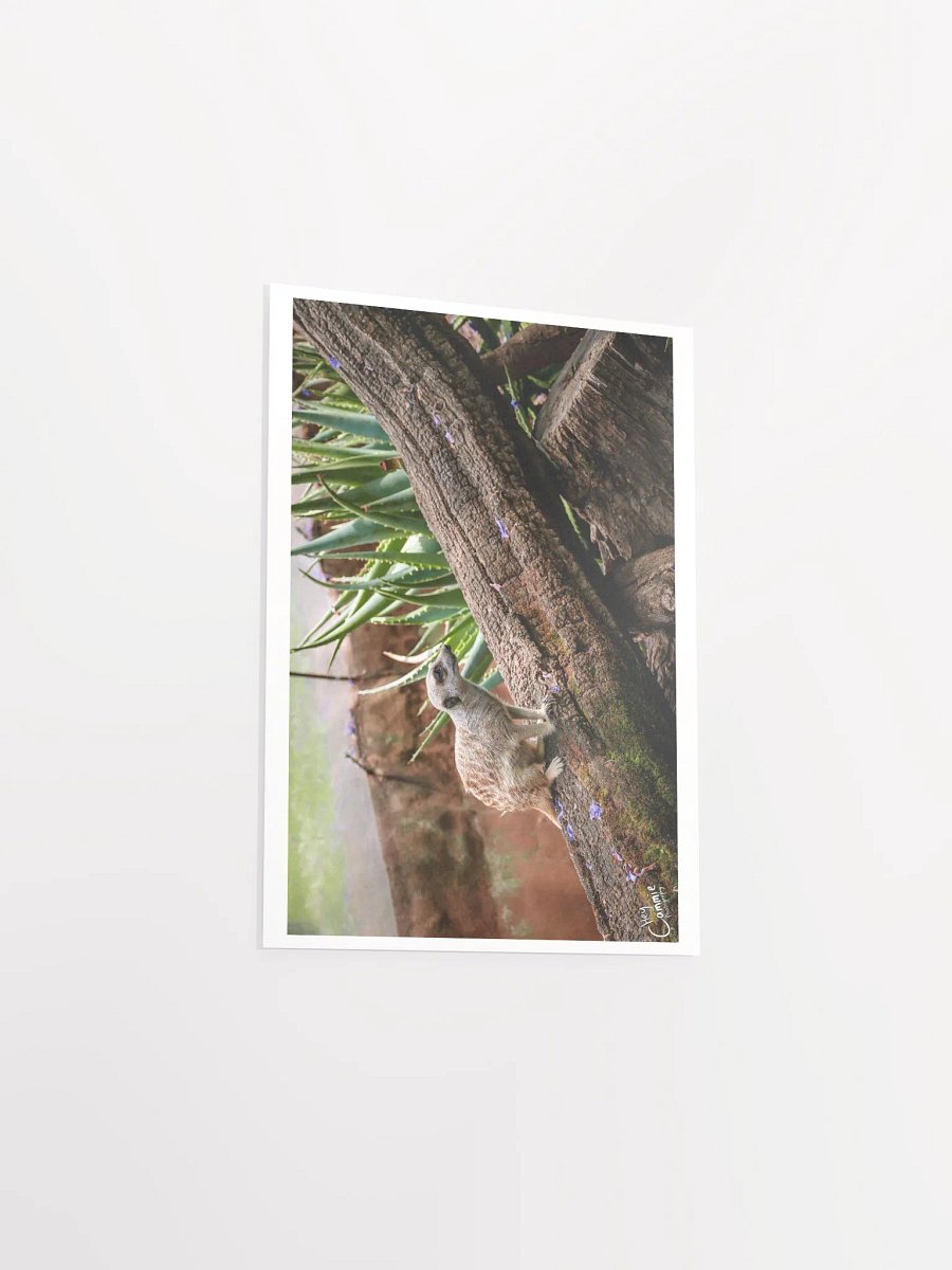Meerkat Watch - Print product image (3)