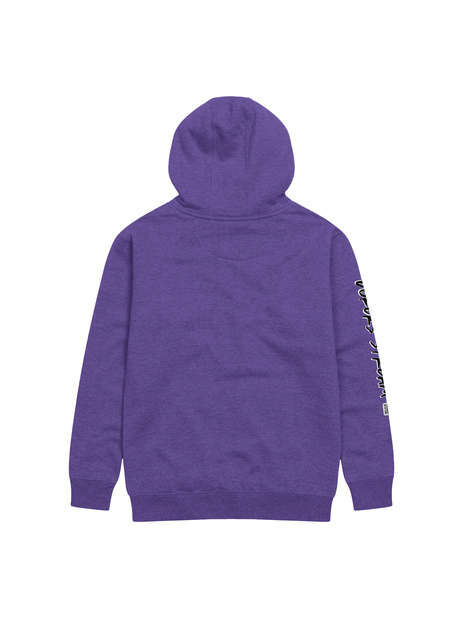 Asylum Hoodie product image (3)