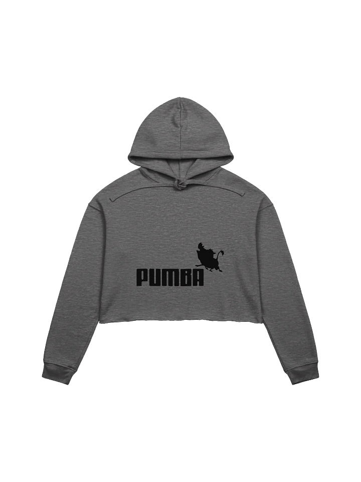 Pumba Crop Hoodie product image (1)