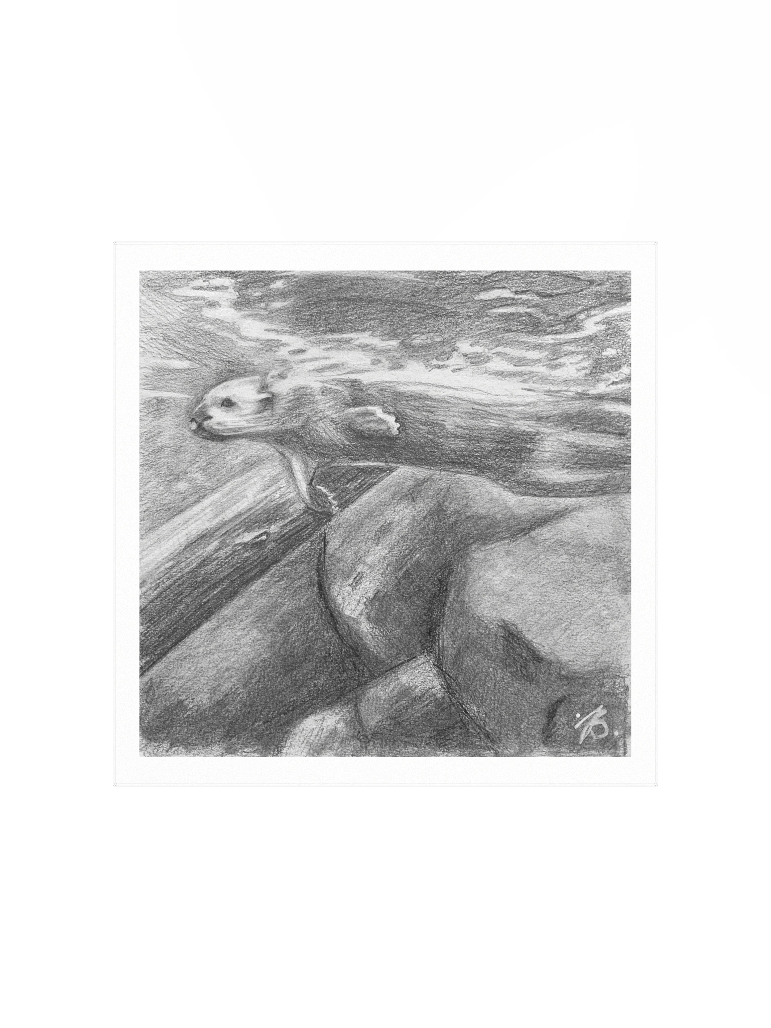 Otter Swimming — Premium Matte Poster product image (1)