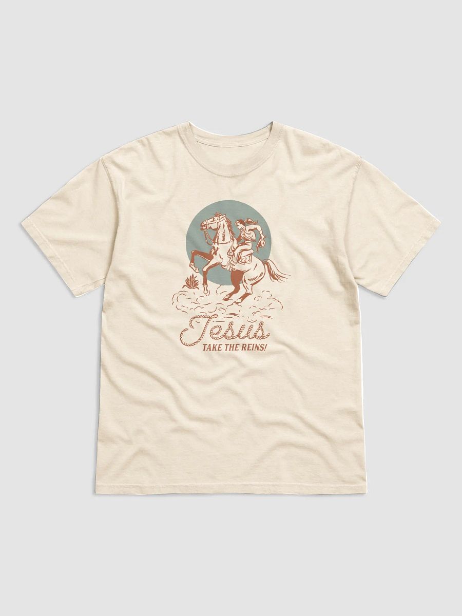 Take the Reins product image (3)