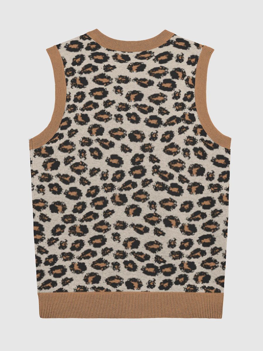 Stucco Vest product image (8)