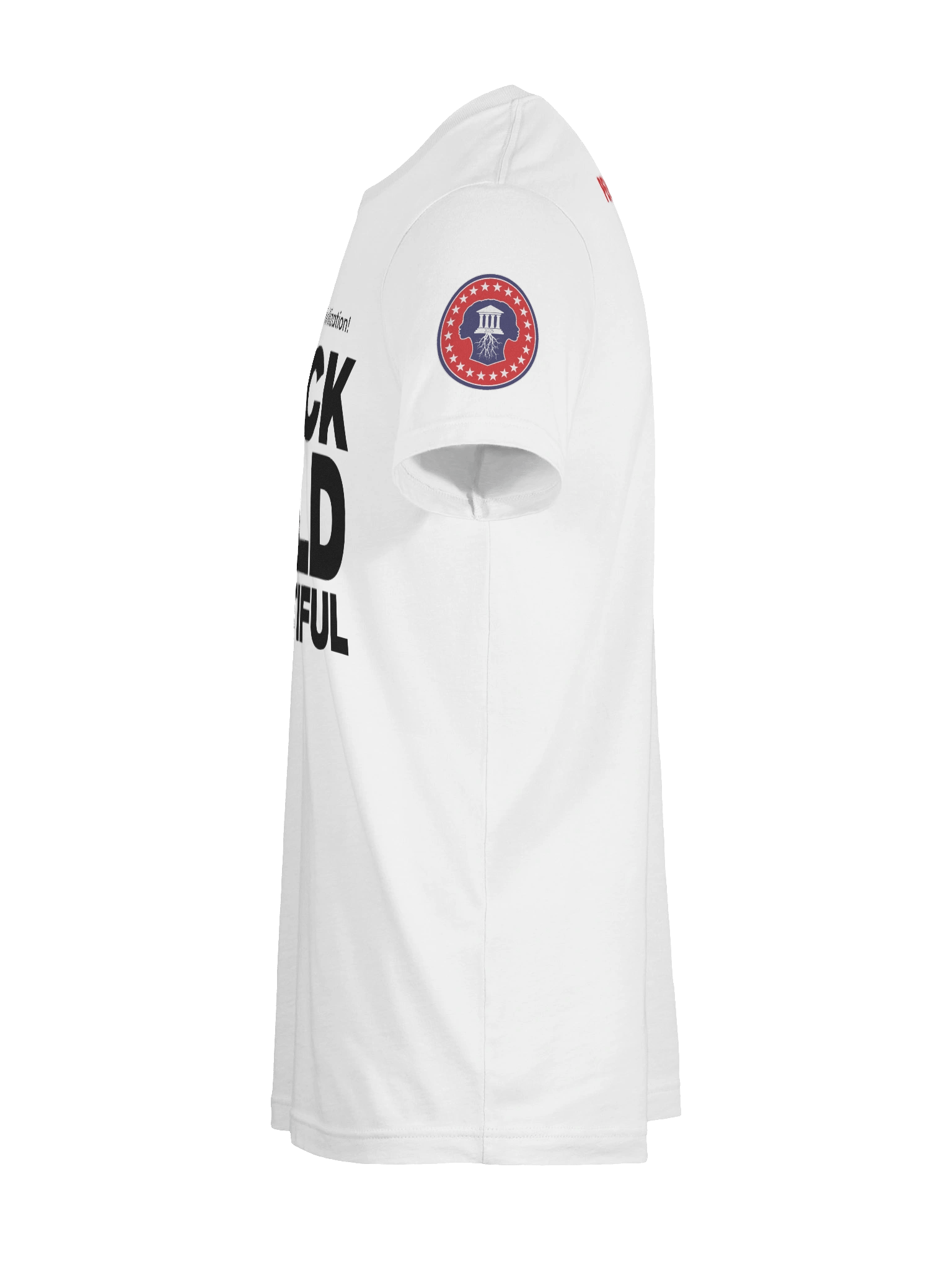 PA - Mother of Civilization T-Shirt product image (11)