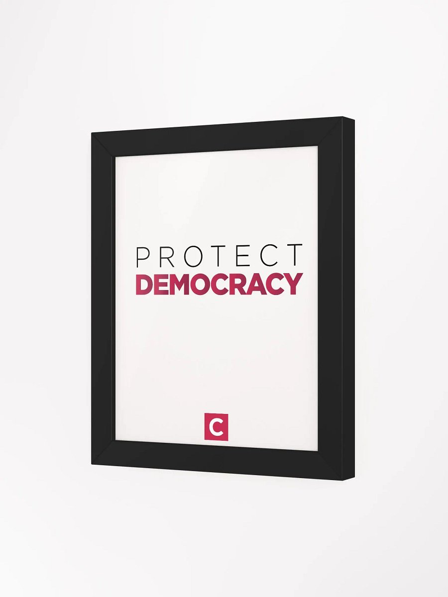 "Protect Democracy" Framed Matte Poster product image (33)
