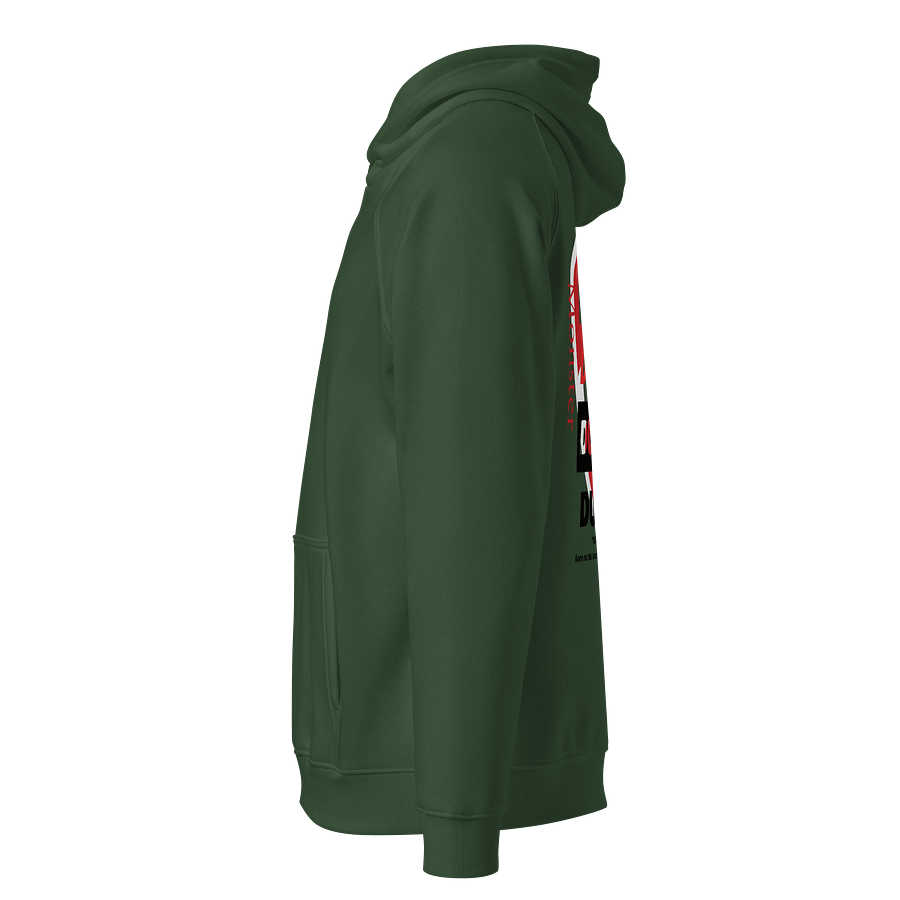 SOL'S Unisex Eco Raglan Man Hoodie product image (3)
